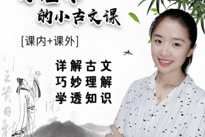 文老师的小古文课60讲视频课程加配套资料 百度网盘下载