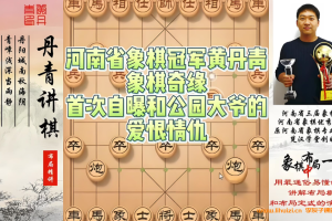 象棋名家黄丹青中国象棋中局一点通-顺炮篇41讲 百度网盘下载