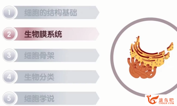 2026高考生物系统备考：张鹏老师一轮复习联报课程资源