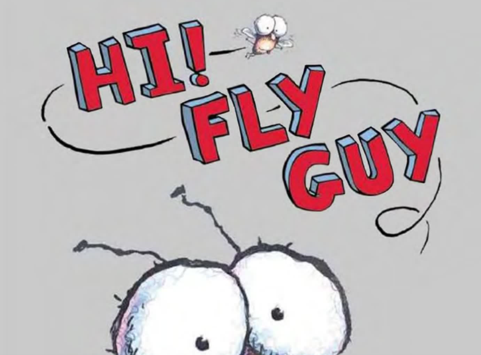 Fly Guy 苍蝇小子 点读资源PDF绘本+音频+视频+中文翻译  百度网盘下载